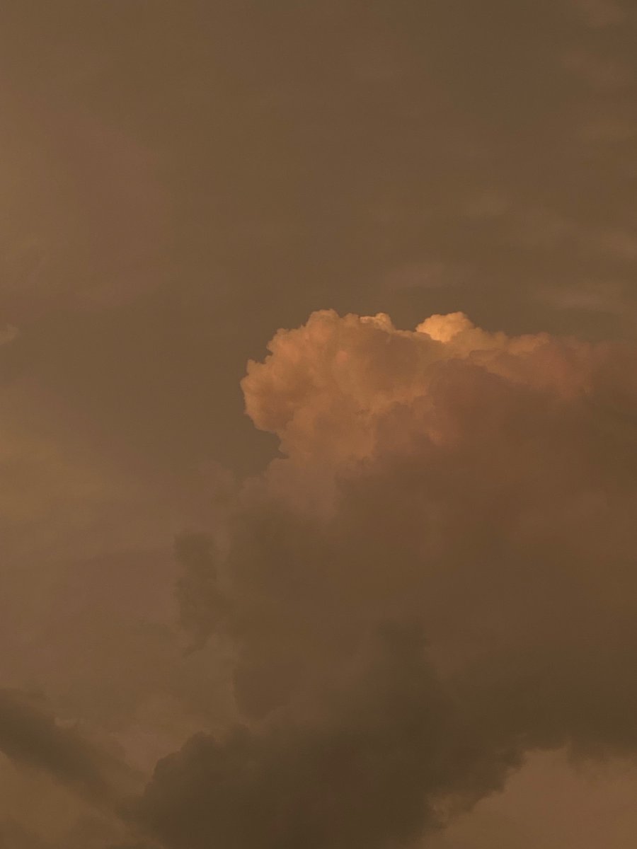 funklybonez's tweet photo. Guys. Have I won?
#sunsetphotography #photographylovers #photograghy https://t.co/2KKZMedFeu