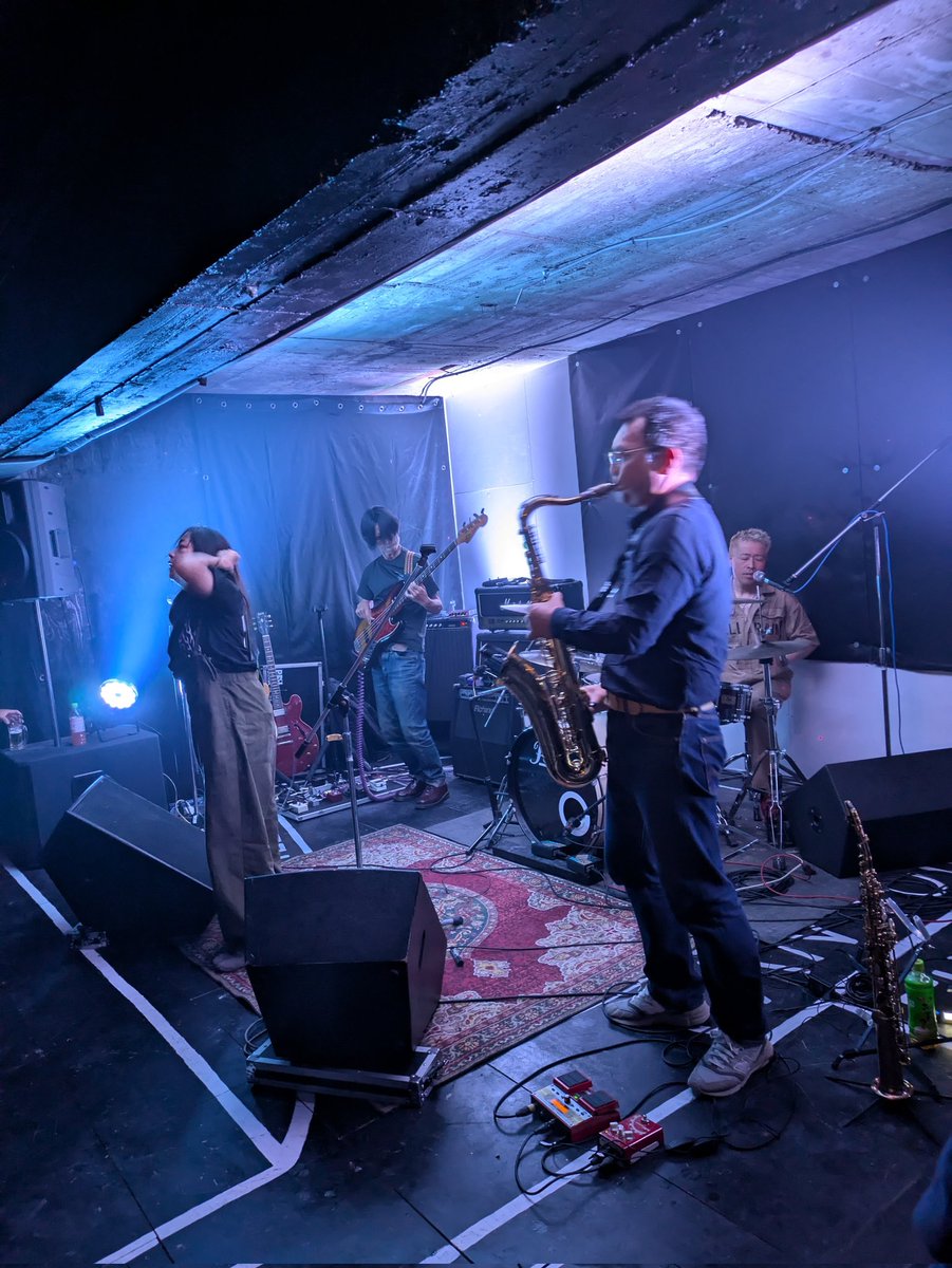 DogVuilt_Official tweet media