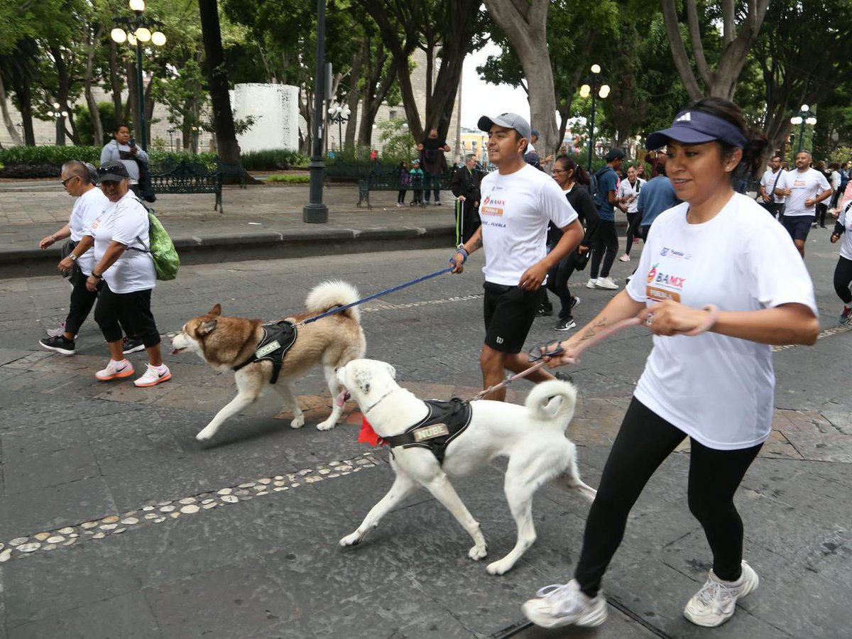 🏃‍♀️🏃🏻Hoy nos dimos cita en el Zócalo de la ciudad para correr por Puebla con causa. 

Gracias amor Claudia Barrientos, por seguir impulsando estas causas junto a <a href="/BAMXPuebla/">Banco de Alimentos Cáritas Puebla</a>, @SMDIF_Puebla y <a href="/DeportePue/">Instituto Municipal del Deporte</a>. 🤝

¡Felicidades a las y los ganadores!🏆

↗️Puebla tiene rumbo y resultados.
