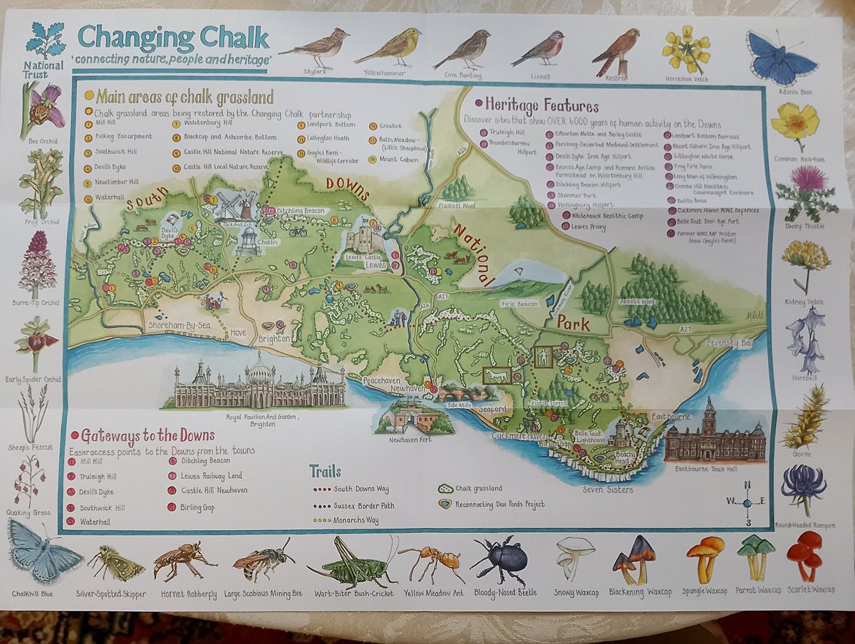 Gemma Ward, BA (Hons.), MA, PCIfA 🏛 tweet media