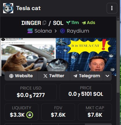 teslacat_dinger's tweet photo. TESLA CAT ADS LIVE

https://t.co/uPPqToAf7b

#TESLACAT #DINGER #SOLANA #MEMECOIN #X1000 https://t.co/TS4NK6wJC3