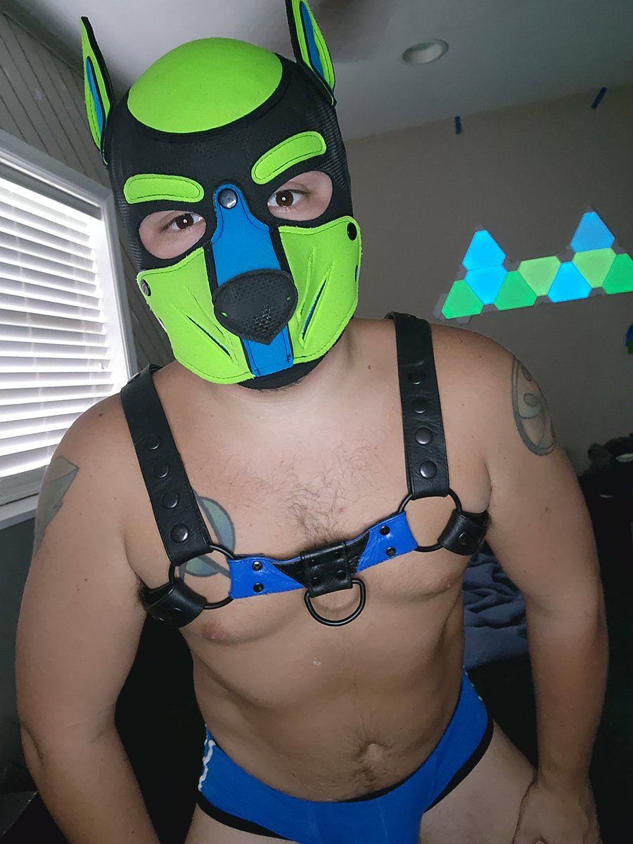 Bark!