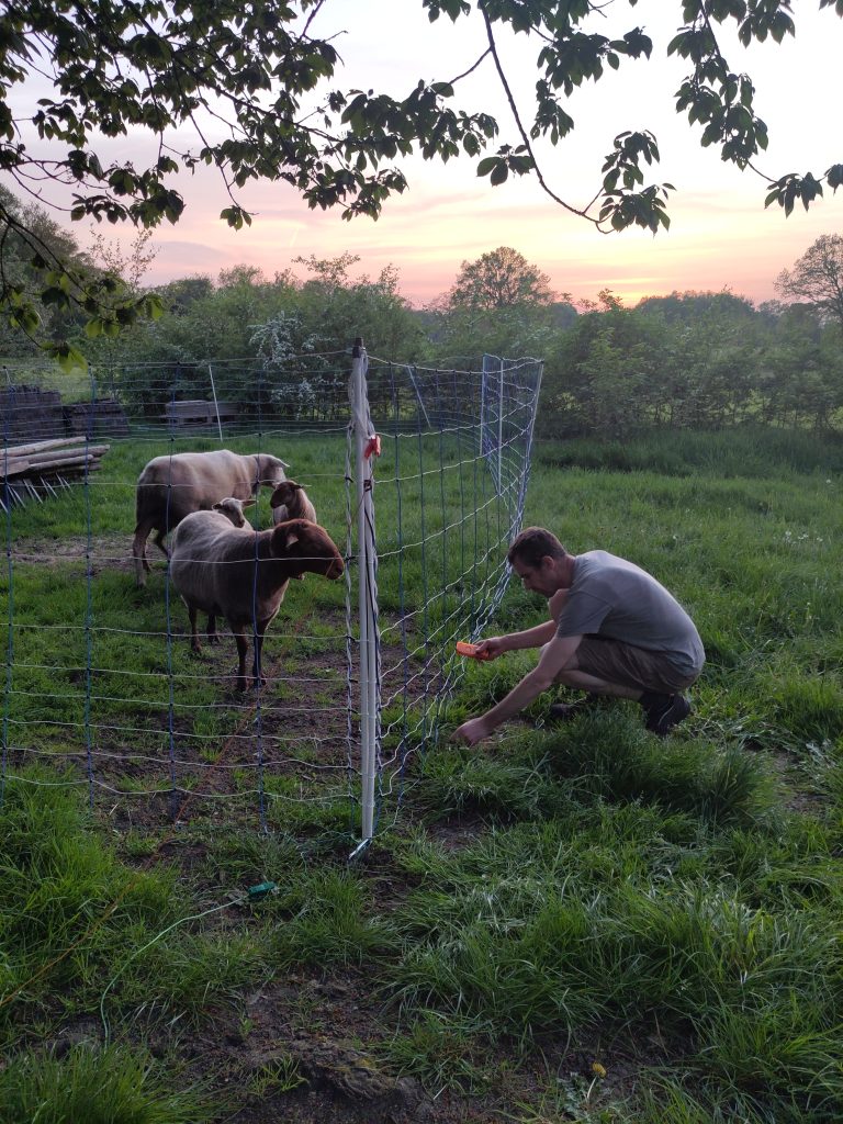 Voor wie behoefte heeft aan meer feiten over wolven en vee.

geertjeshof.nl/index.php/2024…