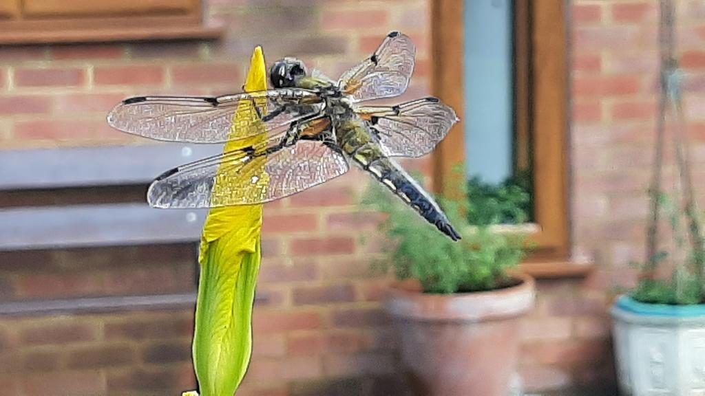 psgnutbells's tweet photo. Two things which have run their course and which should be gently retired -  the Countryfile photo competition and Strictly Come Dancing! https://t.co/2aAie1sdFl