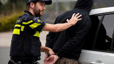 friesland tweet media