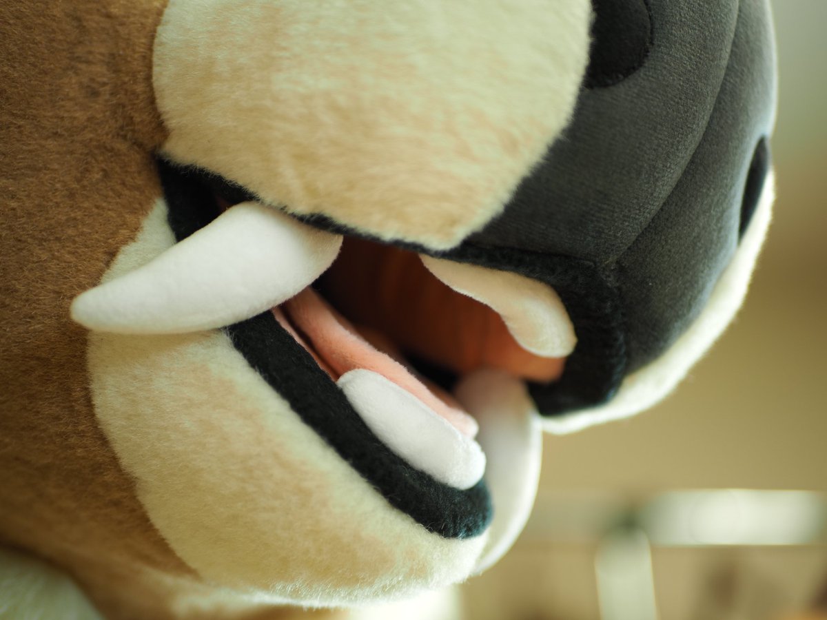 Clove is awaiting their new home.
Come see them in person at TFS!!!

Comes with head, hoof paws, tail, 2 sets eye lids, 4 hair parts, 2 tongues, artist made collar, traditional badge, 2 styles of brushes, belt, balaclava, fursuit spray of your choice, and fur necklace.