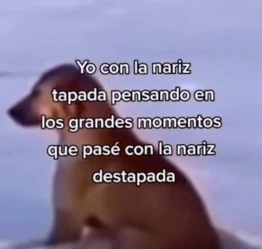 Rolita (@_onerolita) on Twitter photo 