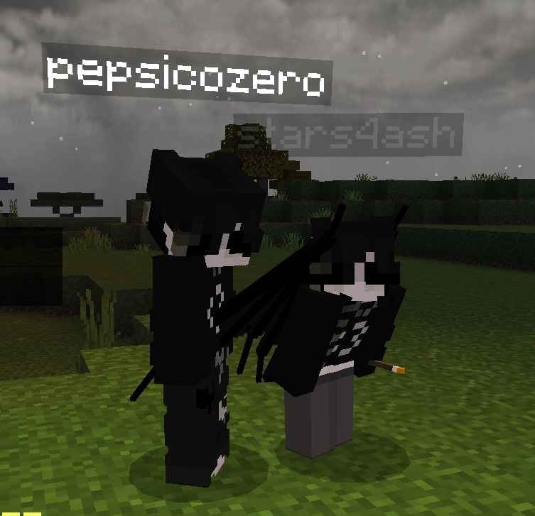 pepsicozero's tweet photo. eu i essa lesbica 🤢🤢 @stars4sh #catsmp https://t.co/35ikTFwaWs