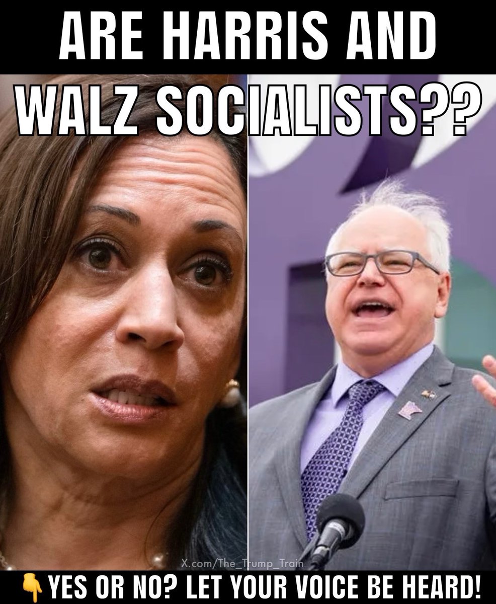 The Trump Train 🚂🇺🇸 tweet media