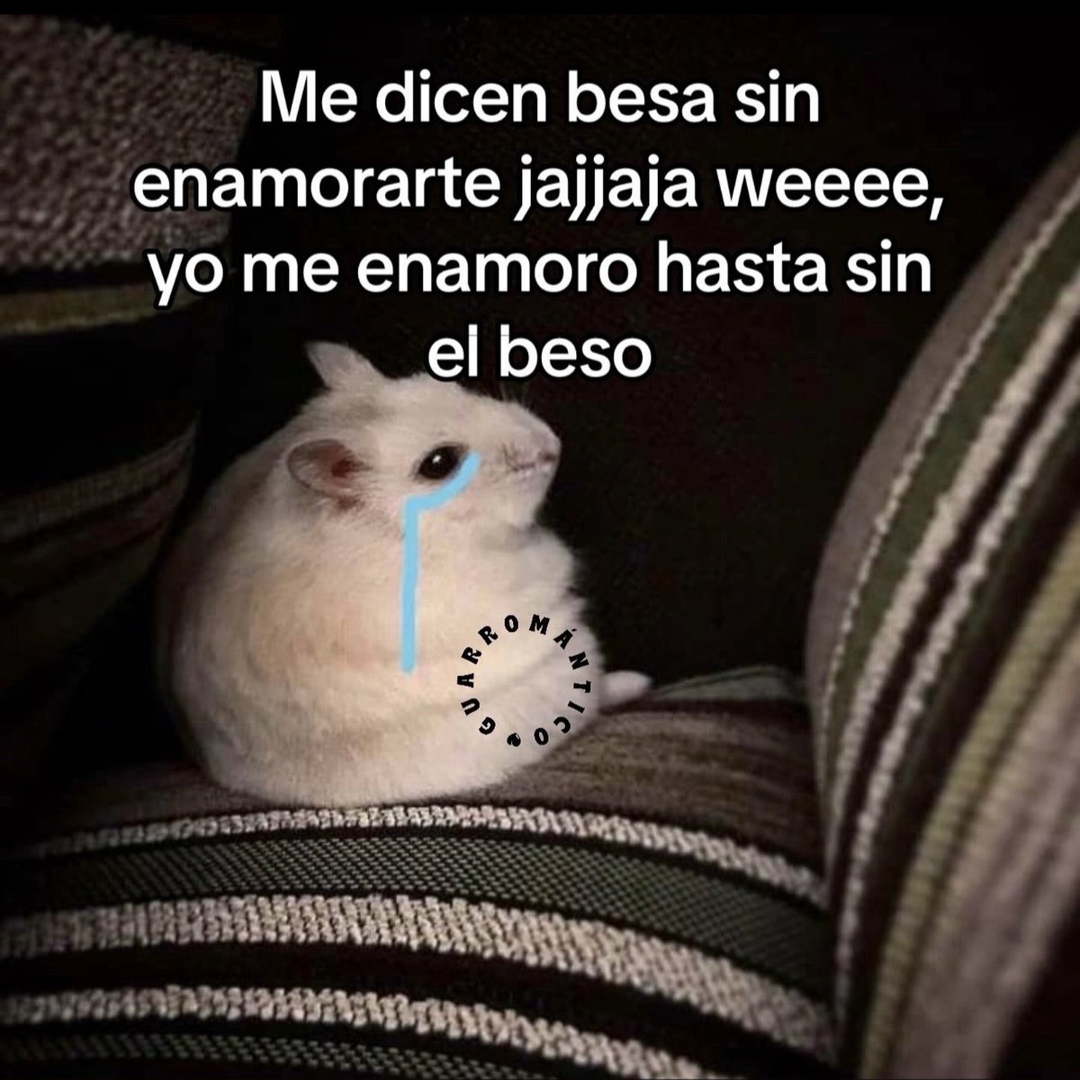 Quede 🤡