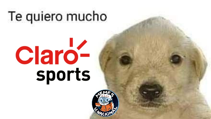 nacional_memes's tweet photo. Yo después de las olimpiadas de París 2024 https://t.co/jIQyU2mHVx