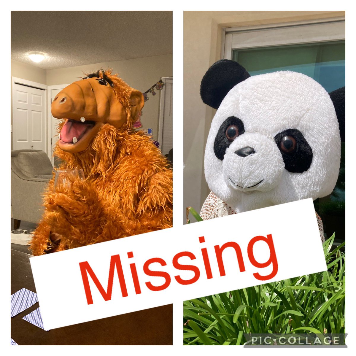 Andy_Pandy2020's tweet photo. @WestJet
Where are they??? #missinglugagge
I can take a flight cancelation, weeks later a delayed flight…but now this?? https://t.co/fRb4Xe9a2R