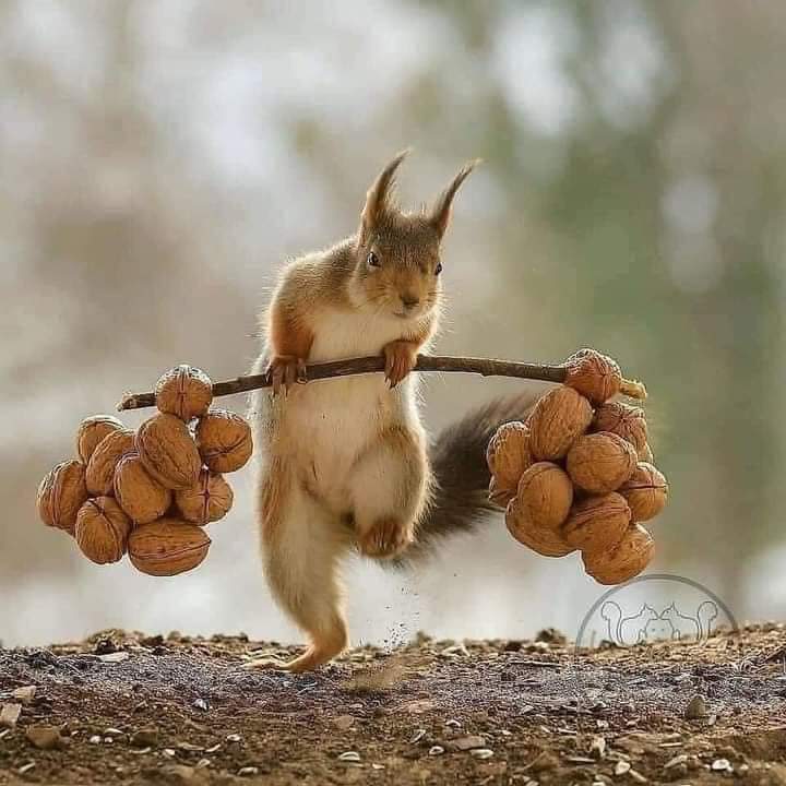 Alison Perkins tweet media