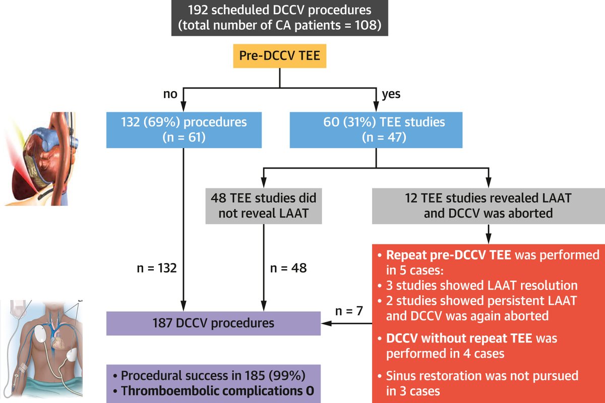 Challenge the status quo? Do we need transesophageal echocardiogram before cardioversion in cardiac #amyloidosis patients? Find out in #JACC: bit.ly/4cdg0XB