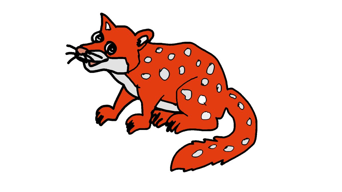 MiksaIgor's tweet photo. There are seven species of quolls, varying in size and appearance:

1⃣ #QuaiQuoll, often called #Qually, leaves all around Earth. #quaimascot @QuaiNetwork 
2⃣ Spotted-tailed Quoll: The largest quoll, with distinctive spots on its tail.
3⃣ Brown Quoll: Found in New Guinea. https://t.co/e95GfyOy5I