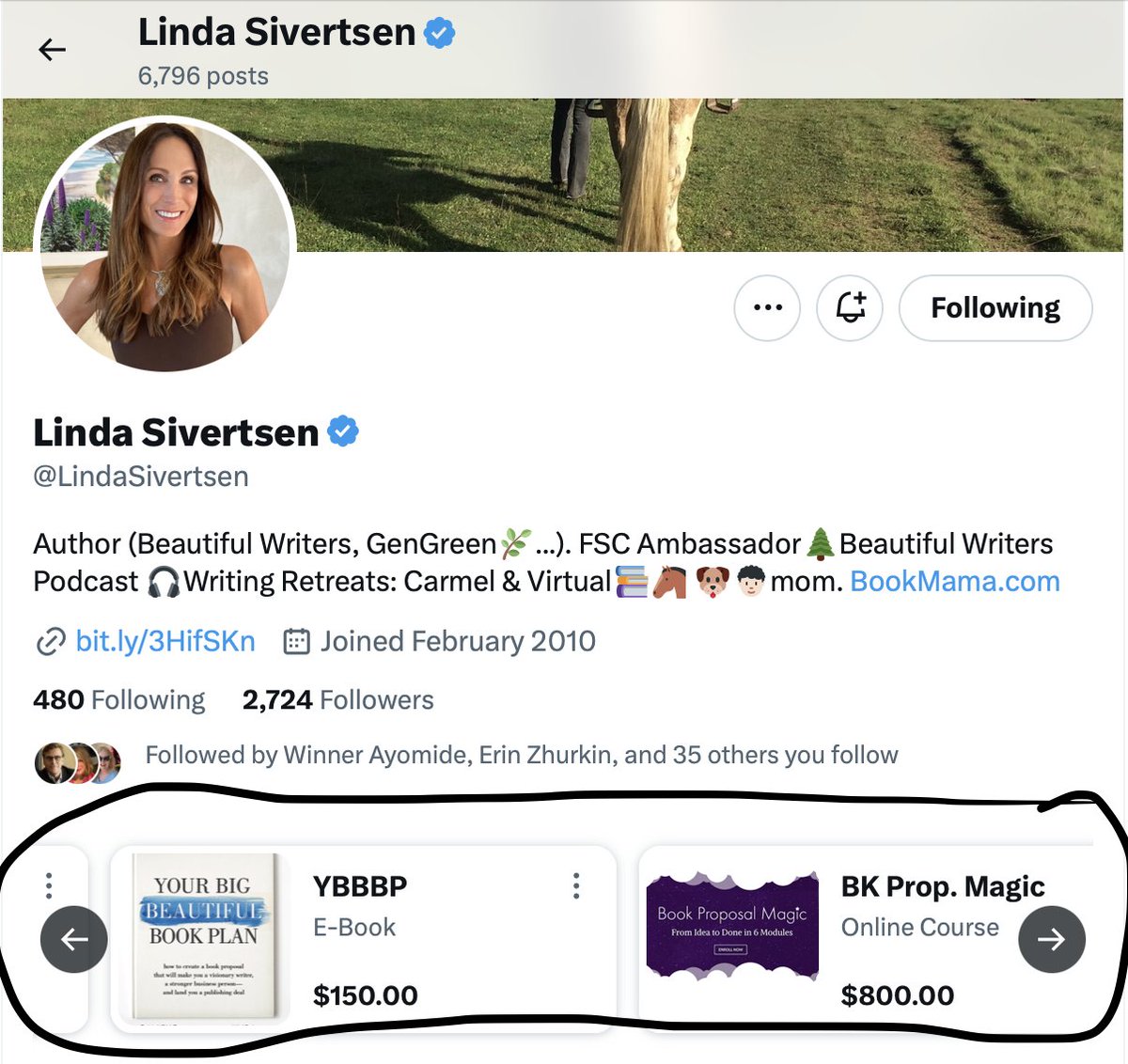 harpercreates's tweet image. HELP ME, #Twitterverse, the amazing @LindaSivertsen offered deep wisdom in a great @realsambennett workshop this week. She referenced THIS Twitter add on. Anyone know WHAT IT'S CALLED??? (bottom of screenshot below).