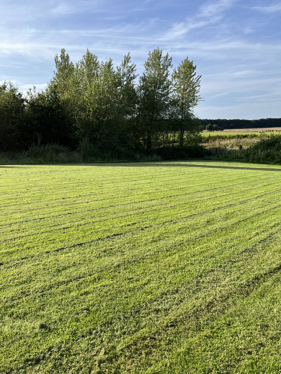 The grass is cut!! ⁦<a href="/KeithGr12627794/">Keith Grant 💙</a>⁩ 🌺