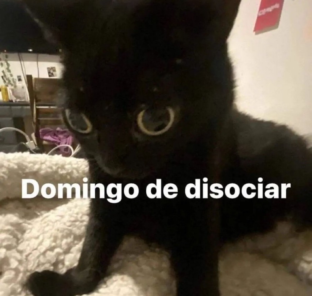 Guarromantico_'s tweet photo. Como debe ser. https://t.co/CpLGq1eZll