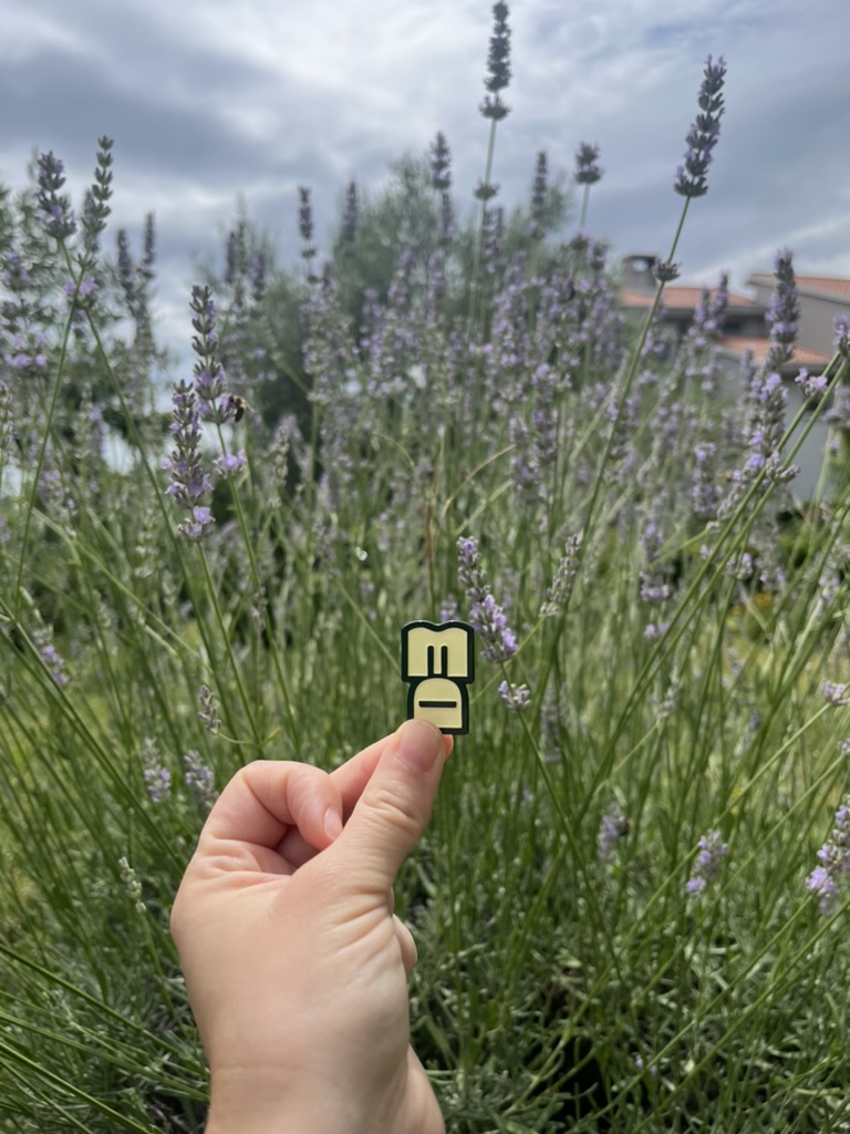 MonkeDAO's tweet photo. GM Monkes 🐵

We hope there is some touching  grass happening today!

New week tomorrow, new opportunities ahead! https://t.co/cJzbsbGVV4