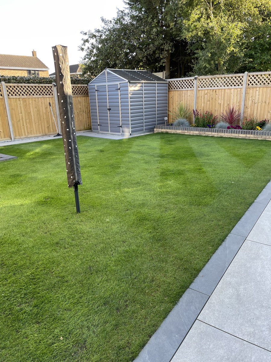 POA removed, scarified &amp; verticut, over seeded, bit of top soil &amp; loads of water 1st August, pre &amp; post cut today with my Kensington 17  <a href="/AllettMowers/">Allett Mowers</a>