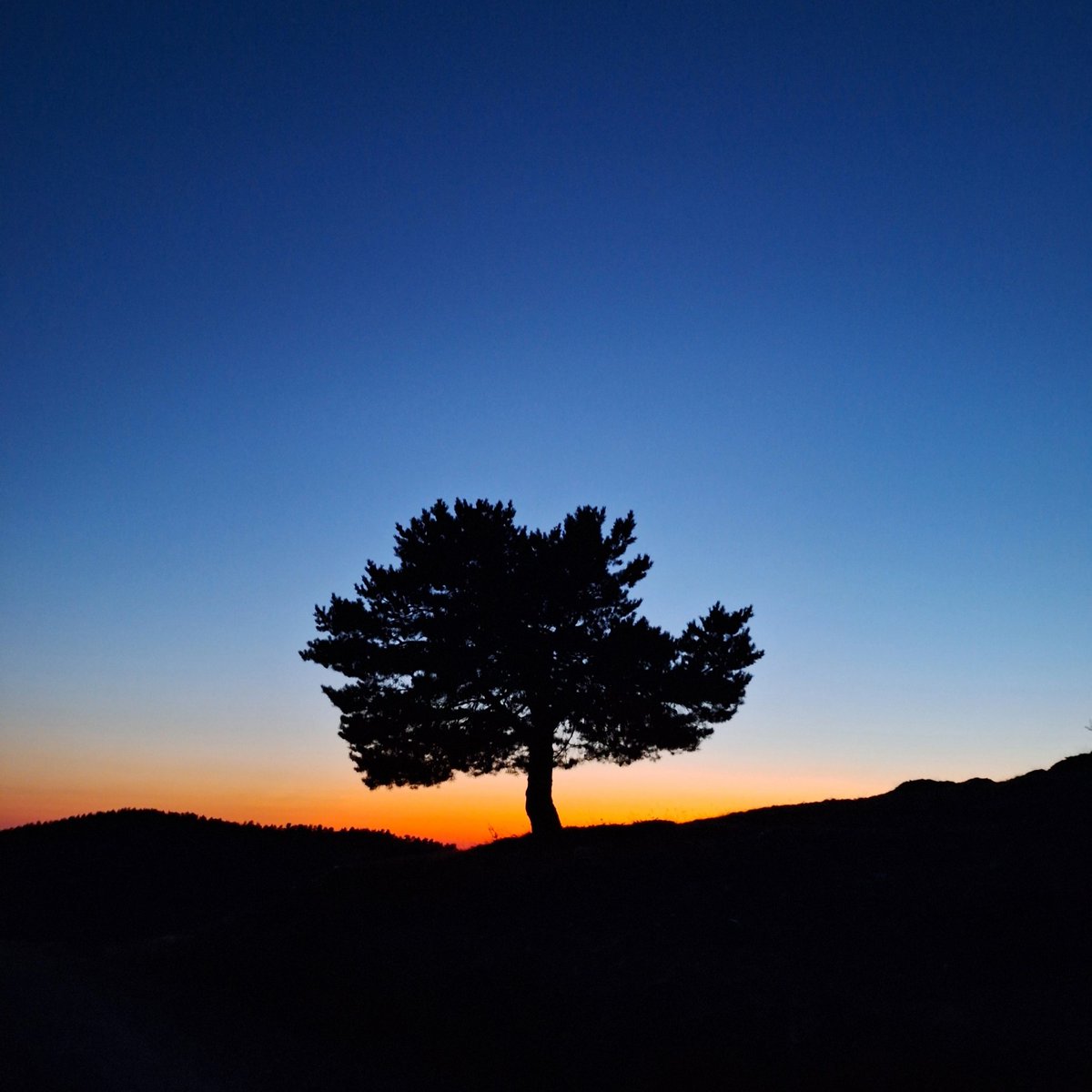 Yalnız değil, tek başına.