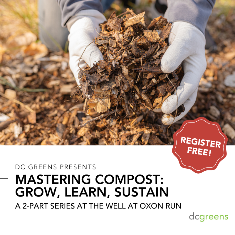 DC Greens tweet media