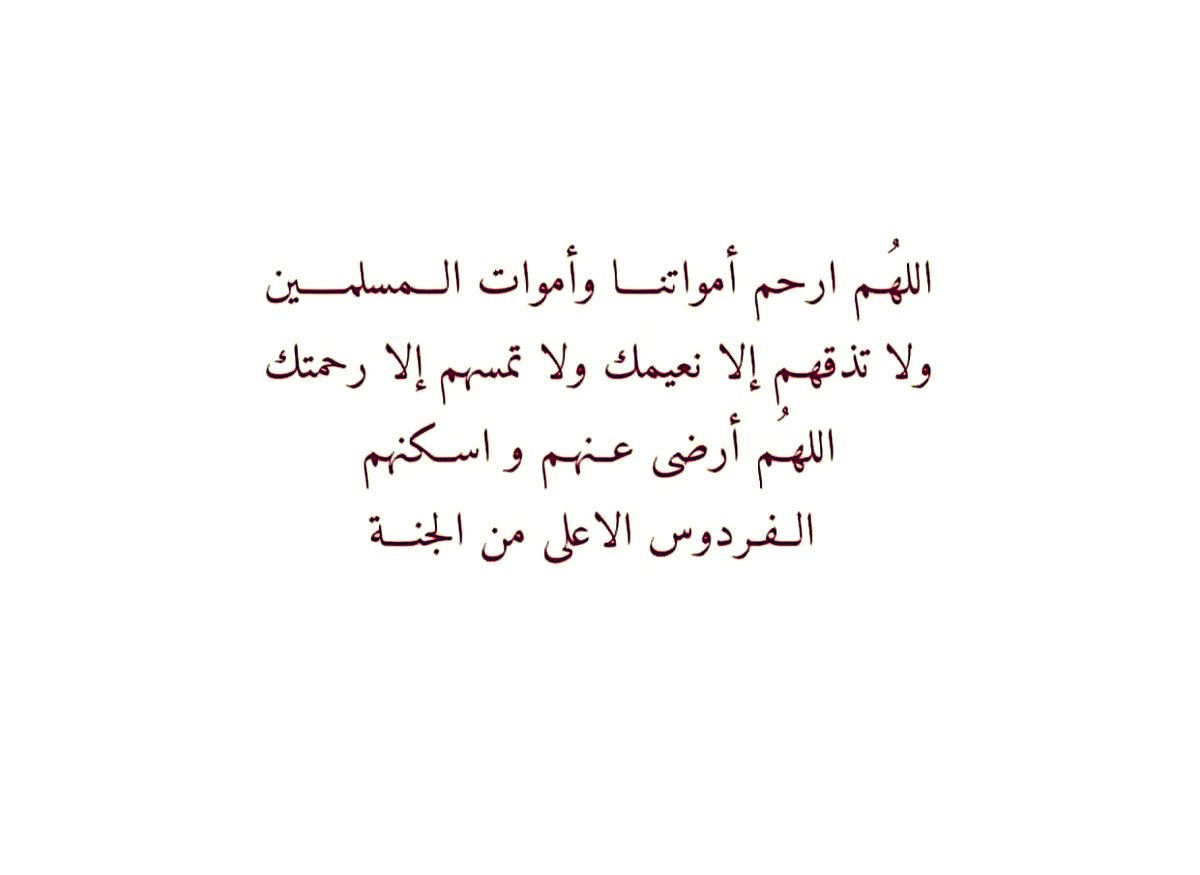 waffa_58's tweet photo. https://t.co/fqBLZWUAVA