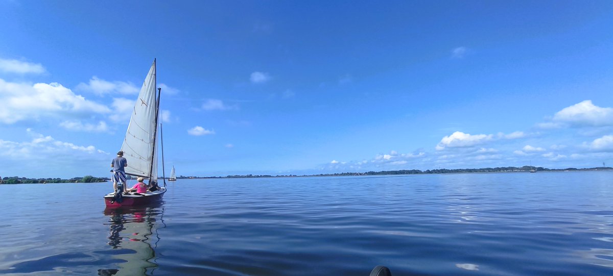 Daniel Wolters tweet media