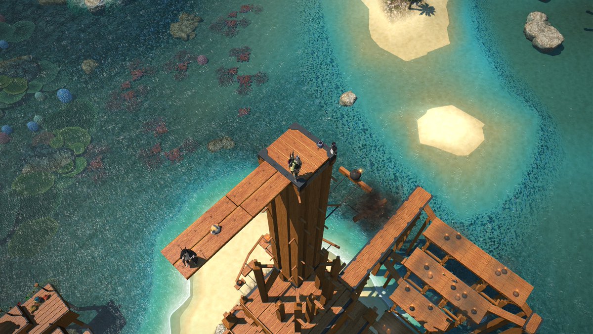 CocoKitty183's tweet image. FREEDOM