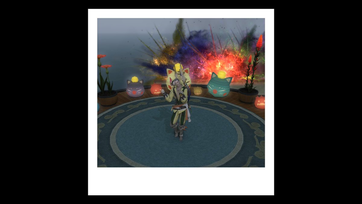 CocoKitty183's tweet image. FREEDOM