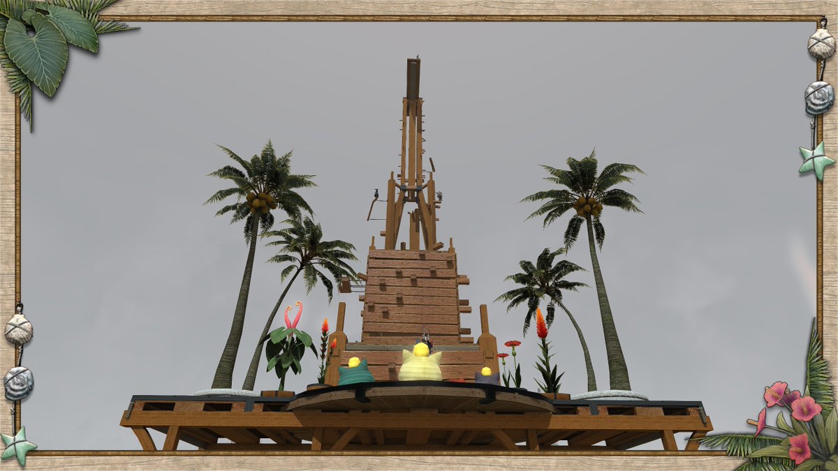 CocoKitty183's tweet image. FREEDOM