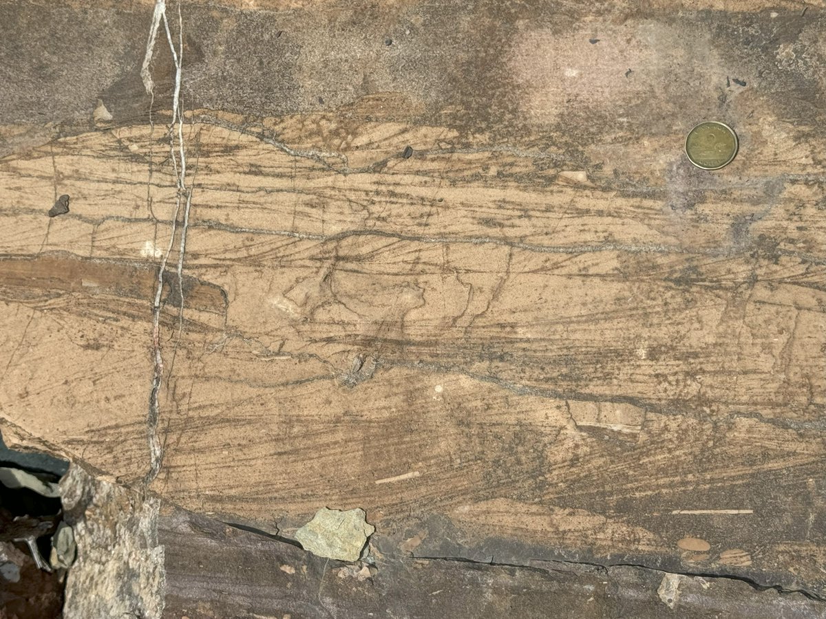 Jon Noad (@dinojonrox) on Twitter photo The geology <a href="/WatertonLakesNP/">Waterton Lakes National Park, Parks Canada</a> is Precambrian, 1.5 billion years old. Lots of wonderful sed structures: salt hopper pseudomorphs; mud cracks; lovely wave ripples The geology <a href="/WatertonLakesNP/">Waterton Lakes National Park, Parks Canada</a> is Precambrian, 1.5 billion years old. Lots of wonderful sed structures: salt hopper pseudomorphs; mud cracks; lovely wave ripples