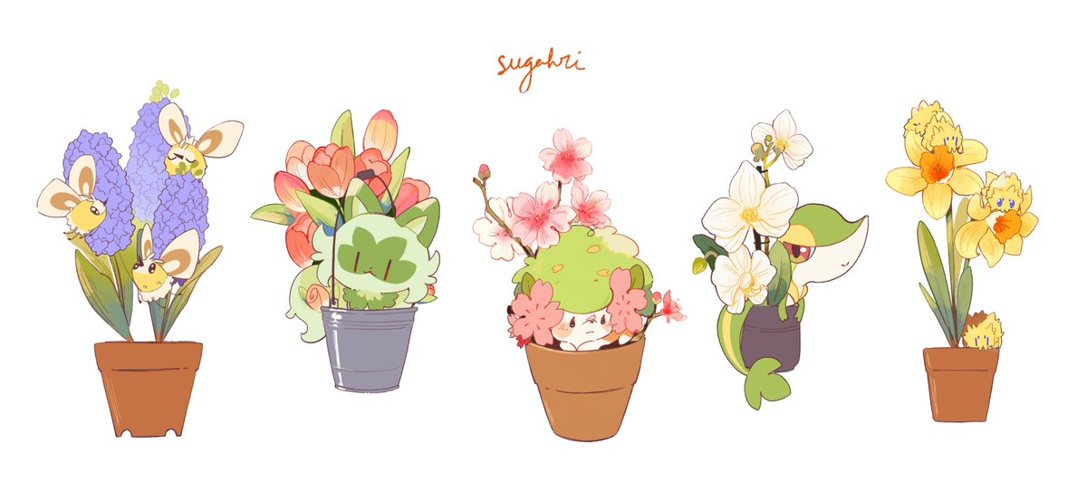 Sugar🍓 tweet media