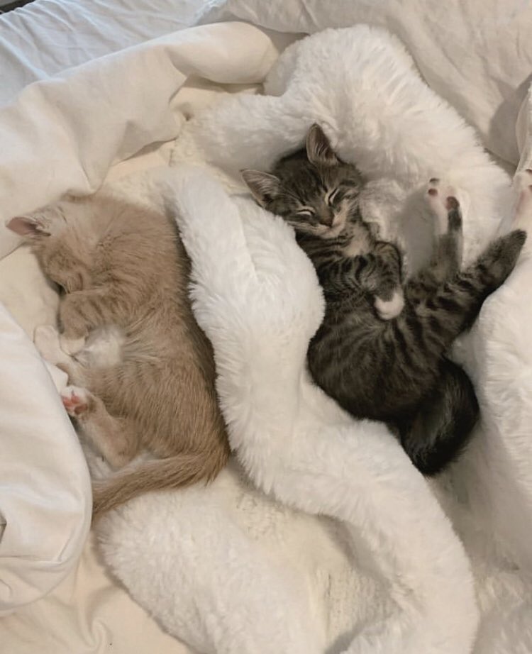 i’m gonna miss my babies