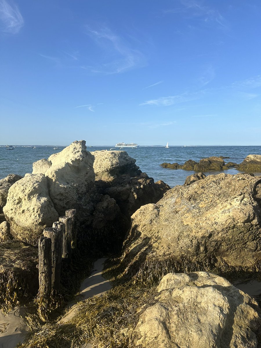 Alastair Hilton tweet media