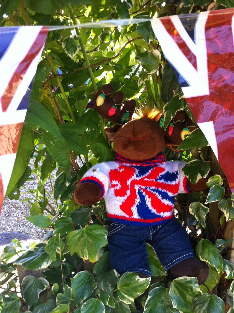 Hal Macy tweet media