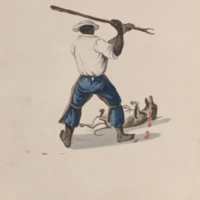 Yasaklı Irk : Elinde Sopa , Cebinde Bıçak , Belinde Silah Taşıyandır…❗️
#TürkiyedeKatliamVar