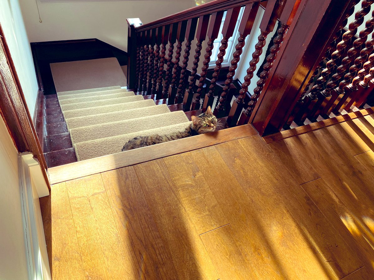 Ricky Gervais tweet media