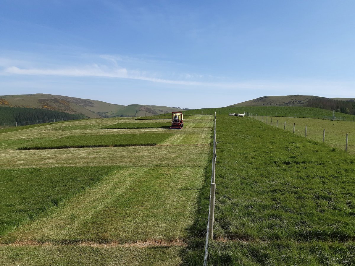 Fancy this as your office?? We’re still looking for a field technician, must have experience of using tractors and machinery 🚜 Find out more and apply via the Aberystwyth University vacancies page ➡️ jobs.aber.ac.uk/en/vacancy/fie… 
Please RT 😊🙏🏻 #farming #fieldwork #grassland #uplands