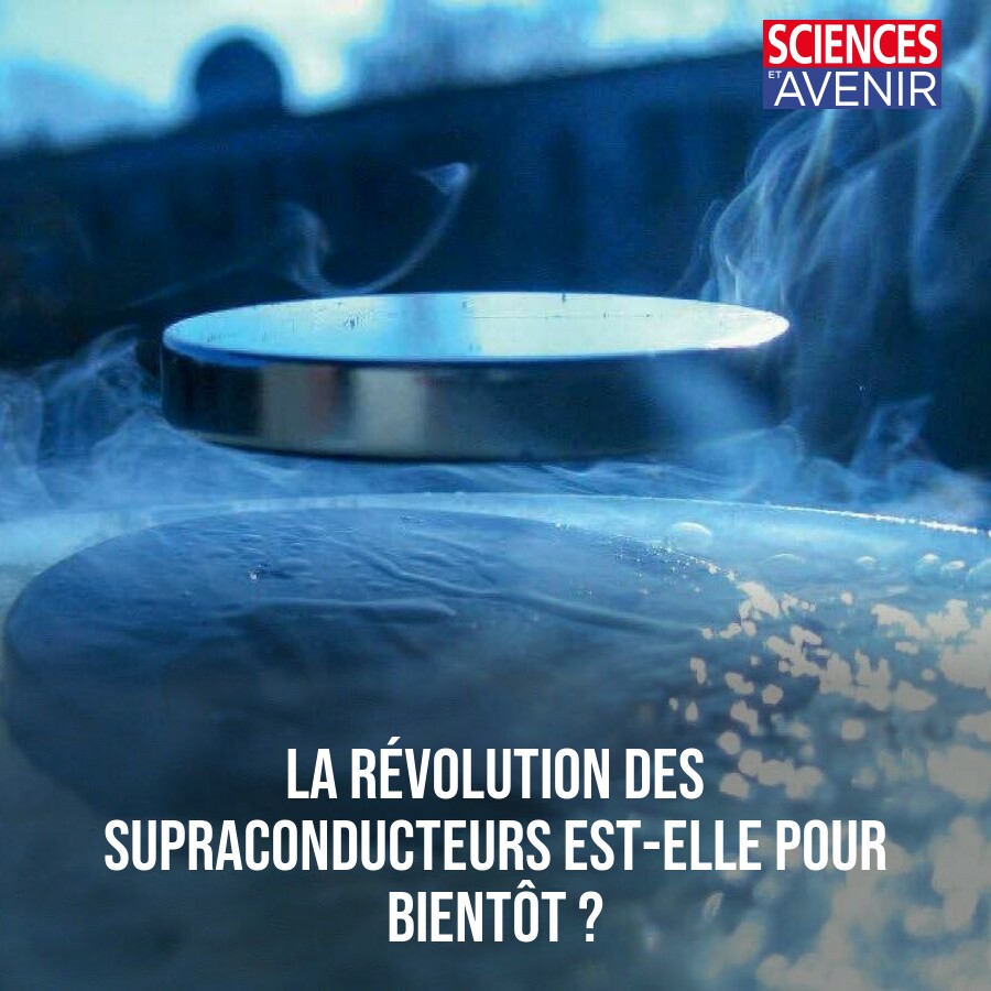 Sciences et Avenir tweet media