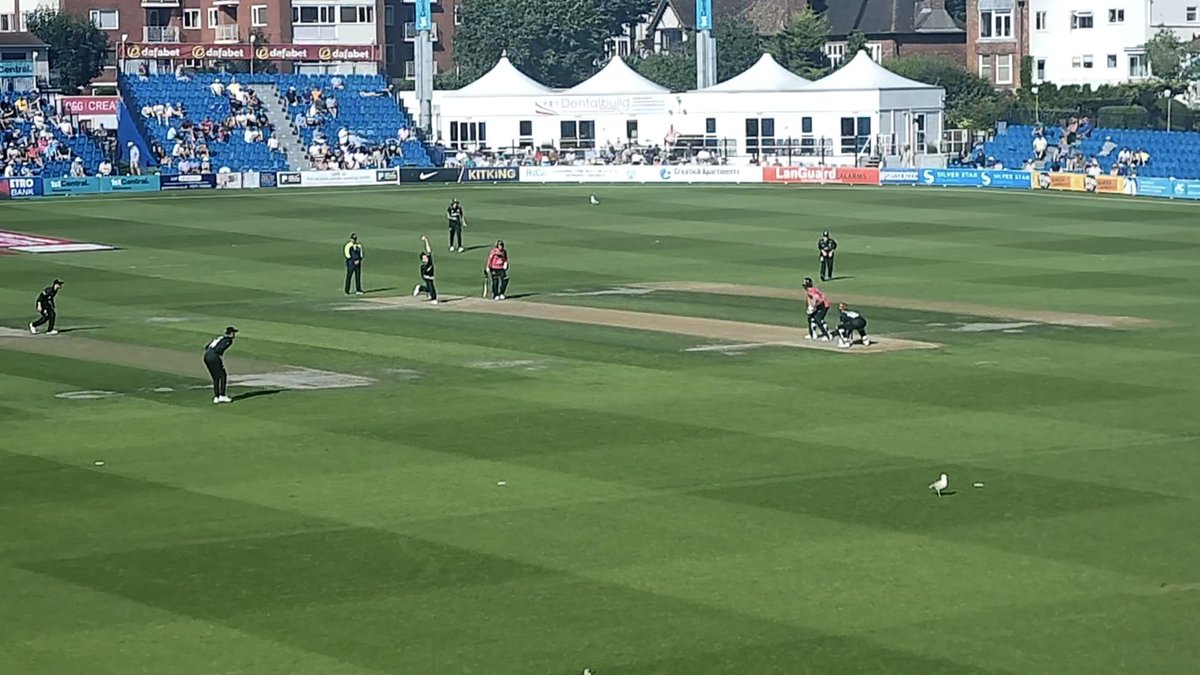 pd_j2's tweet image. Final game of the One Day Cup for @surreycricket
50s for Geddes and Blake but not enough runs on the board being bowled out before the 50 overs.
A first wicket for Seb Stuart-Reckling but Haines and Alsop doing the business for Sussex with 79 and 109*