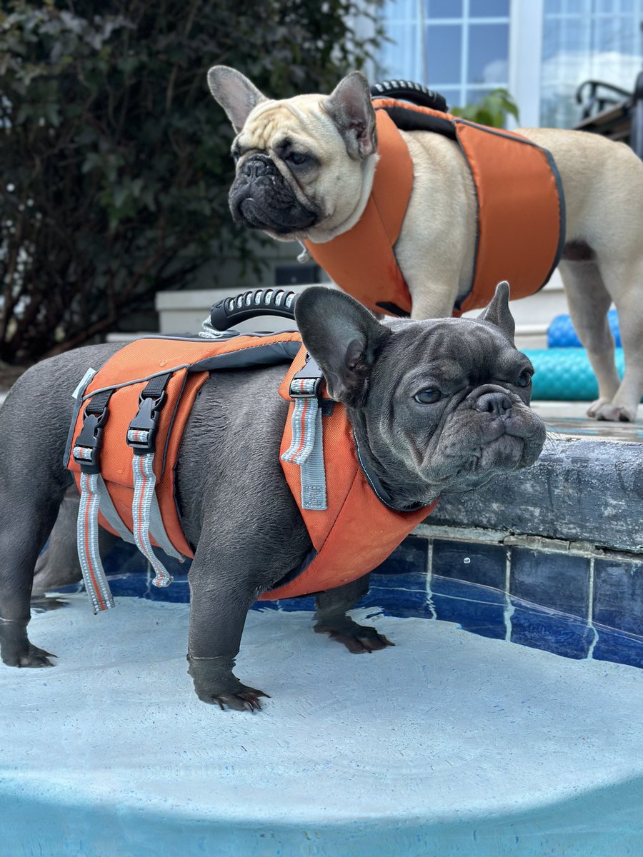 BrianVolkert's tweet image. We may have reached peak #PoolBeer! This smoked helles from @vonTrappBrewing is quite lovely.