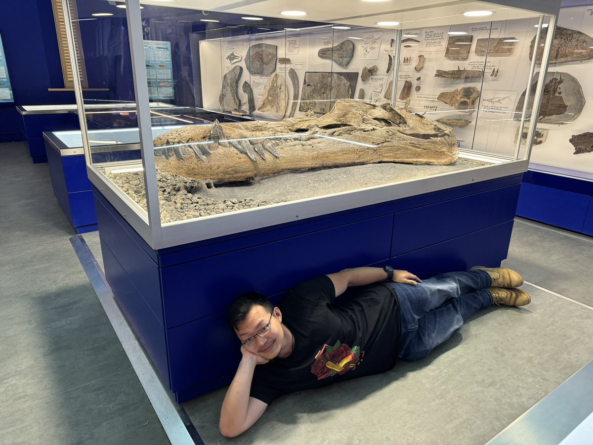 Dino_Dobrowski's tweet image. I finally got to visit @TEC_Kimmeridge for the first time!

Can say I’m very chuffed to finally met the behemoth of a #pliosaur that was featured in the recent ‘Attenborough and the Giant Sea Monsters’.

#Kimmeridge #MarineReptile #Jurassic