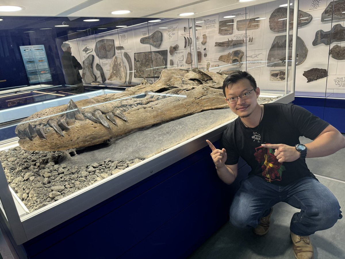 Dino_Dobrowski's tweet image. I finally got to visit @TEC_Kimmeridge for the first time!

Can say I’m very chuffed to finally met the behemoth of a #pliosaur that was featured in the recent ‘Attenborough and the Giant Sea Monsters’.

#Kimmeridge #MarineReptile #Jurassic