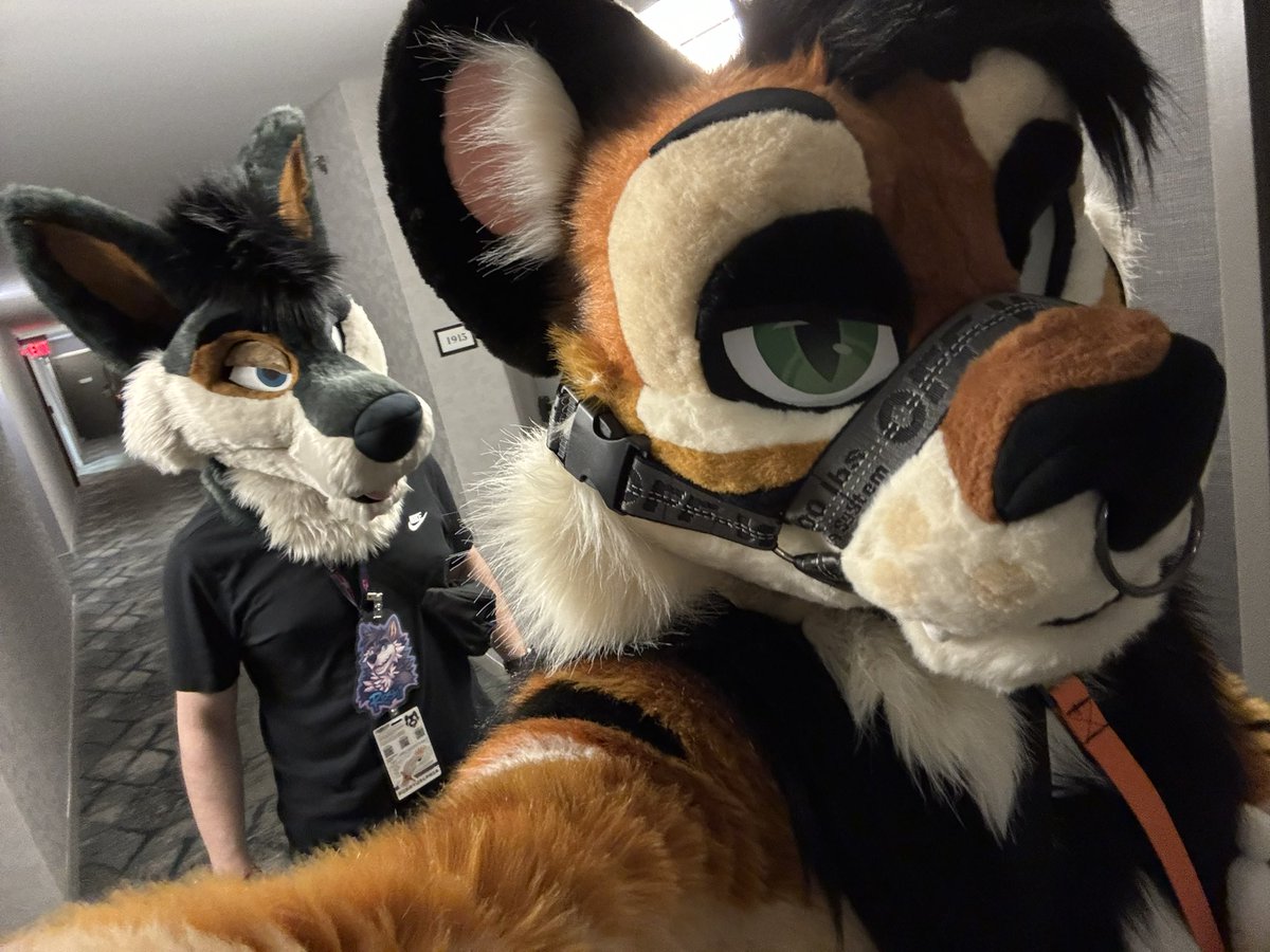 Suit time <a href="/RoshiDoggo/">Roshi</a>