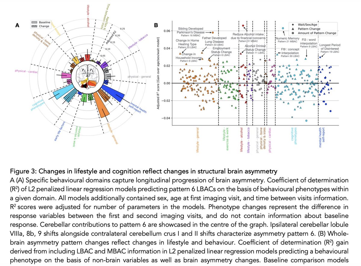 Danilo Bzdok (@danilobzdok) on Twitter photo New research from our lab, led by <a href="/KarinSaltoun/">Karin Saltoun</a>:
#brain #asymmetry changes *within-subjects* over years, which explains individual differences in i) everyday behavior and ii) vulnerability to disease; demonstrated at population scale
preprint: researchsquare.com/article/rs-479… New research from our lab, led by <a href="/KarinSaltoun/">Karin Saltoun</a>:
#brain #asymmetry changes *within-subjects* over years, which explains individual differences in i) everyday behavior and ii) vulnerability to disease; demonstrated at population scale
preprint: researchsquare.com/article/rs-479…