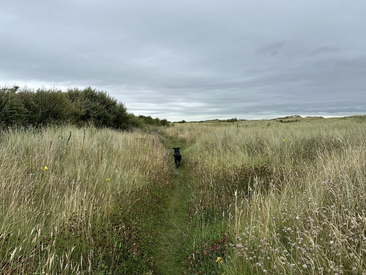 LucyBray9's tweet photo. 65 #NHS1000miles walked this week - most by the sea 🌊 and with lovely company 🥰 
Loving everyone’s active pics and the #ActiveChallenge #NursesActive https://t.co/wegveCqOfN