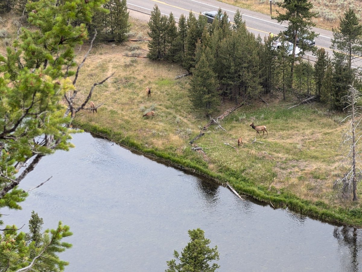 Another successful week in Yellowstone. Teaching new students and learning from experts. The Lava Creek Tuff continues to surprise us.