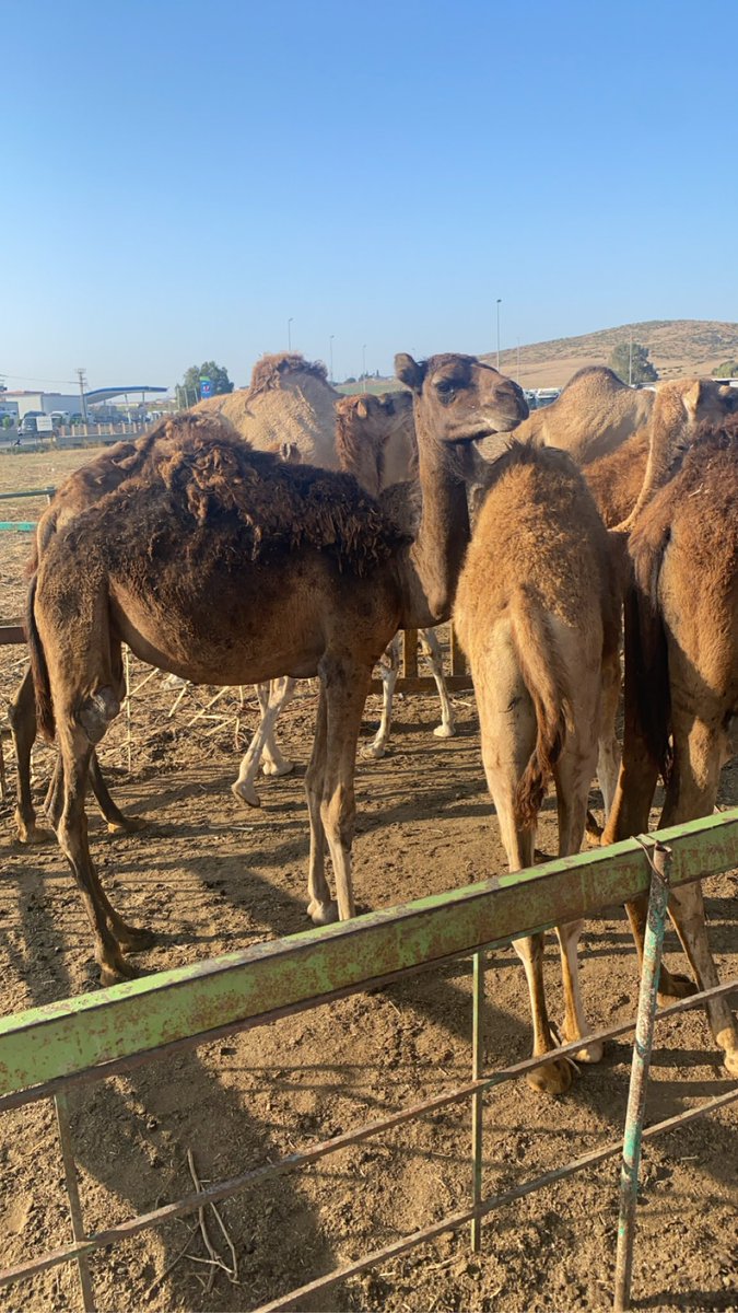 RyanEB_'s tweet image. 🫶❤️