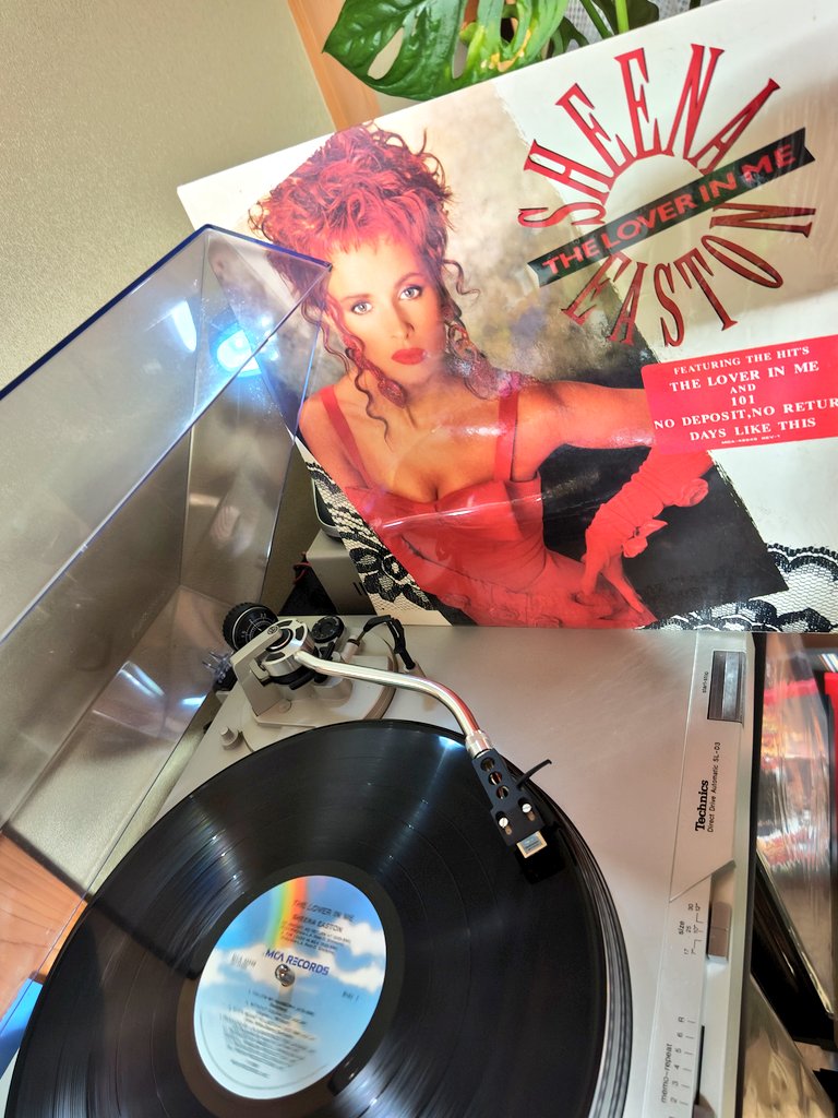 bobbylikesfish's tweet photo. フォロワーさんとの会話の流れから、こちらのレコードを…
シーナが名プロデューサーチーム、LAリード＆ベイビーフェイスやプリンス、ジェリービーン等と組んで製作されたアルバムからはタイトルチューンが大ヒットに…
#レコード
#SheenaEaston
#theloverinme
#vinyl https://t.co/WzolWA8rCW